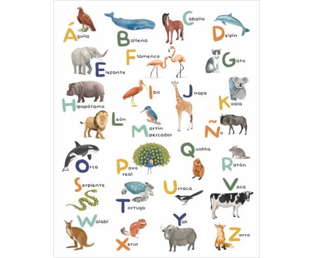 Fototapeet Aprendemos el Alfabeto MNM 105683404 (L)