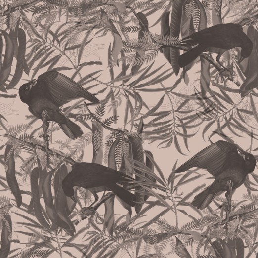 Fototapeet Crows Beige