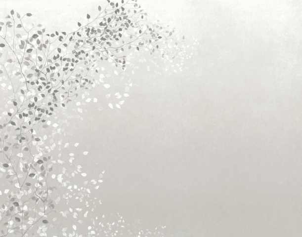 Fototapeet Climber Porcelain