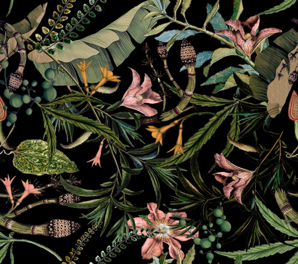 Fototapeet Dark Forest