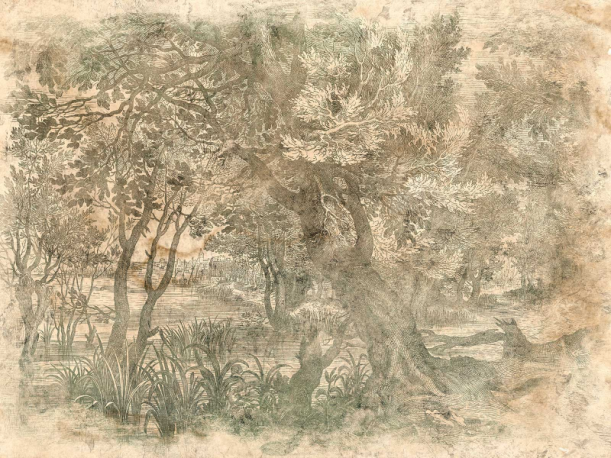 Fototapeet Elav 605332201