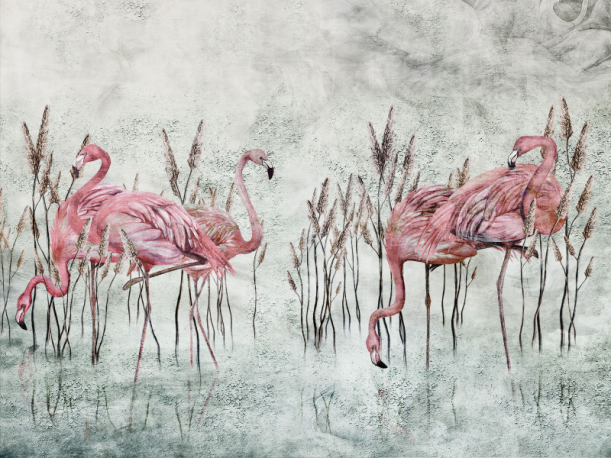 Fototapeet Fenicottero 375312101