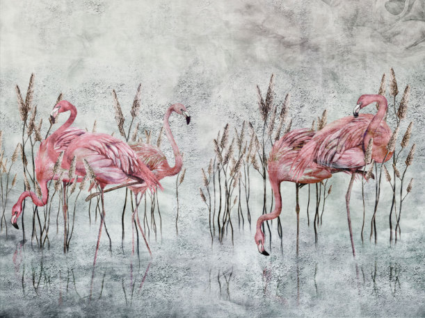 Fototapeet Fenicottero 375342101