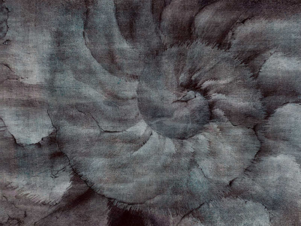 Fototapeet Fosilium 405312101