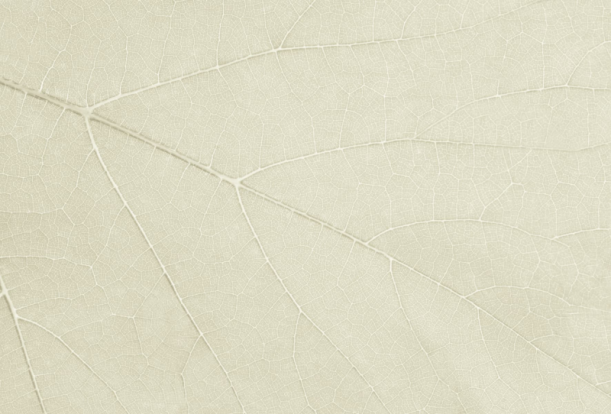 Fototapeet Four Seasons GL2033A