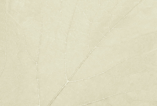 Fototapeet Four Seasons GL2033B