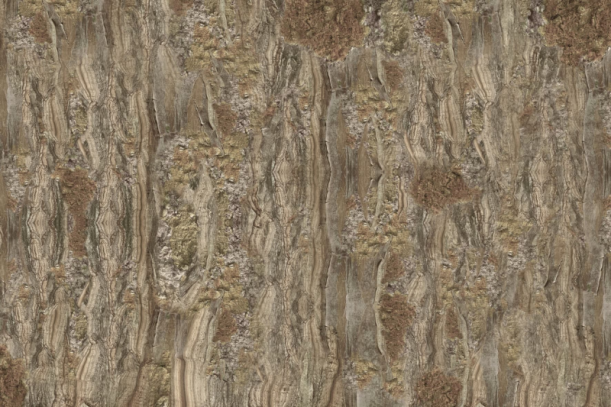 Fototapeet Cricket GLCR072B