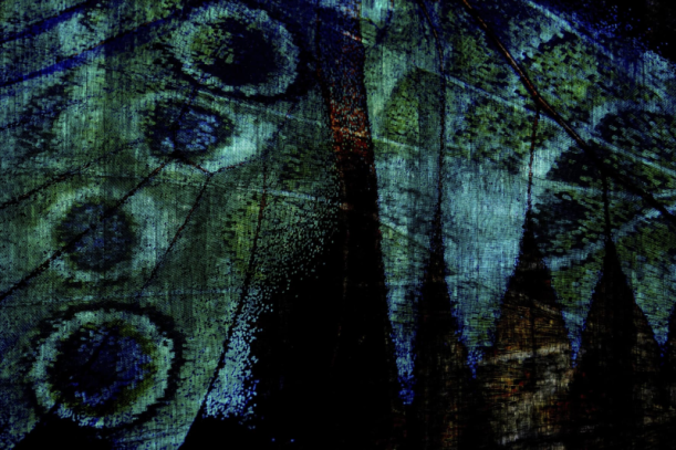 Fototapeet Paris Green GLOPO101A