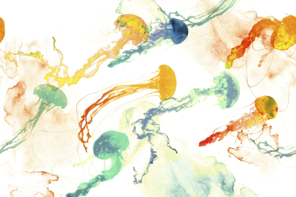 Fototapeet Jellyfish GLV31A