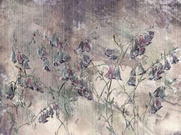 Fototapeet Giolla 385322101