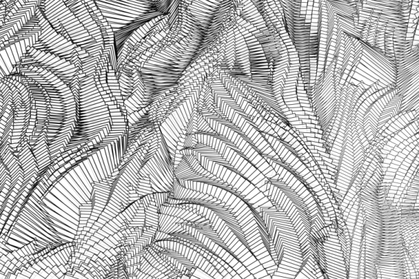 Fototapeet Zebra HL141A