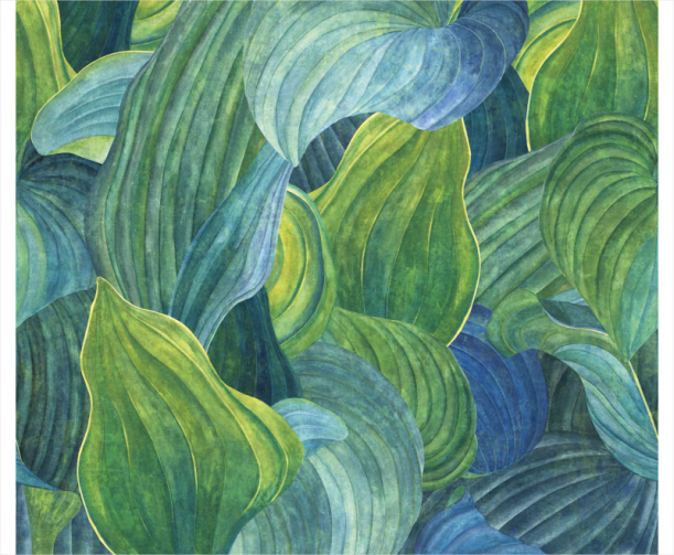 Fototapeet Hosta Aqua