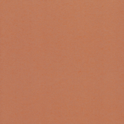 Tapeet Joy SPI-230421