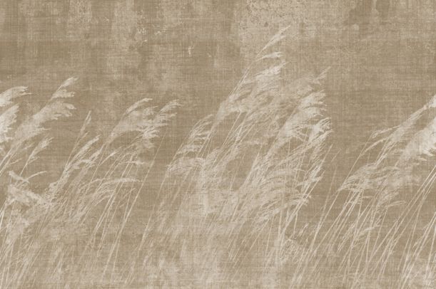 Fototapeet Paddy LWI1002C