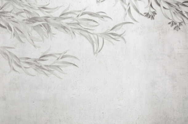 Fototapeet Willow LWI1014B2