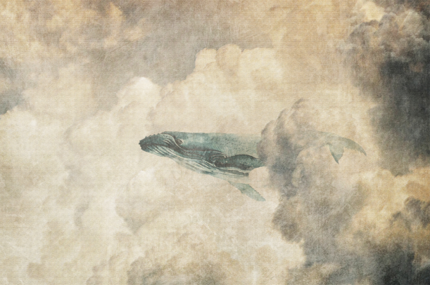 Fototapeet Dream LWI1039A