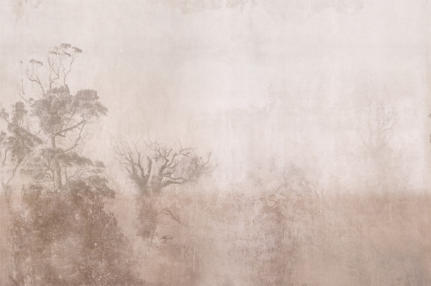 Fototapeet Beach LWI1042A1