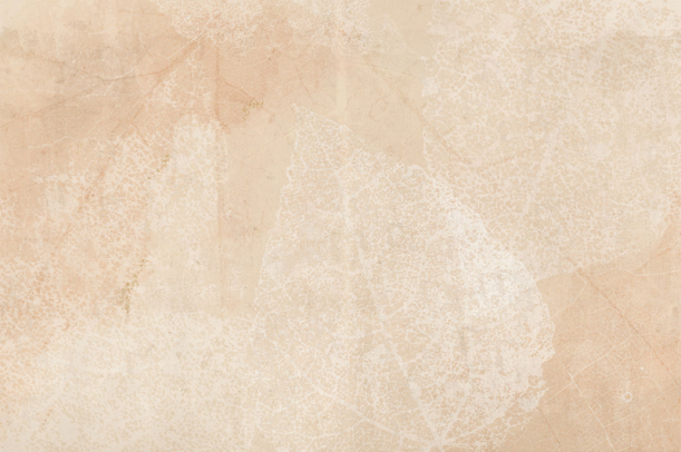 Fototapeet Vein LWI1053B