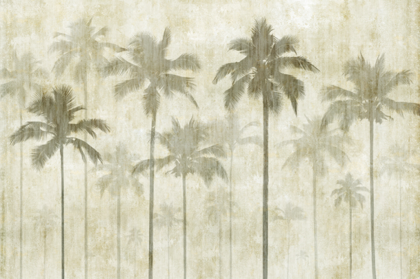 Fototapeet Coconut LWI1058C