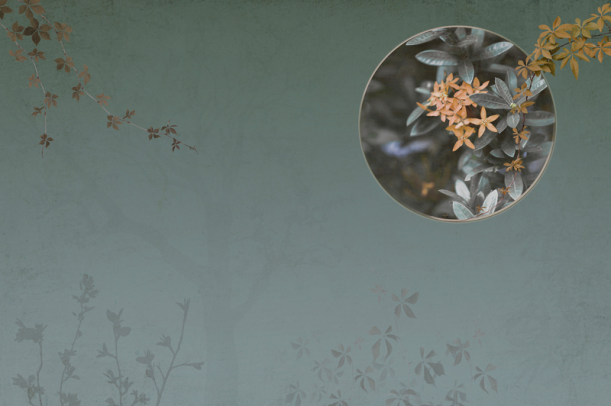 Fototapeet Moon LWI1070B