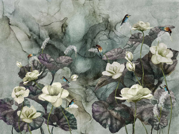 Fototapeet Nimfea 355312101