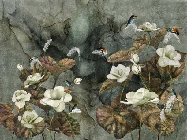 Fototapeet Nimfea 355322101