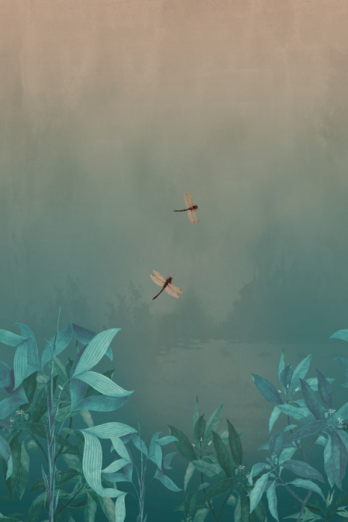 Fototapeet Pelt OND22041