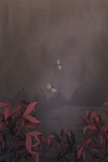 Fototapeet Pelt OND22043