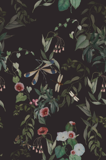 Fototapeet Mizzle OND22051