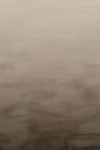 Fototapeet Sublime OND22062