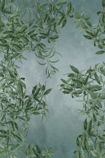 Fototapeet Dalur OND22082