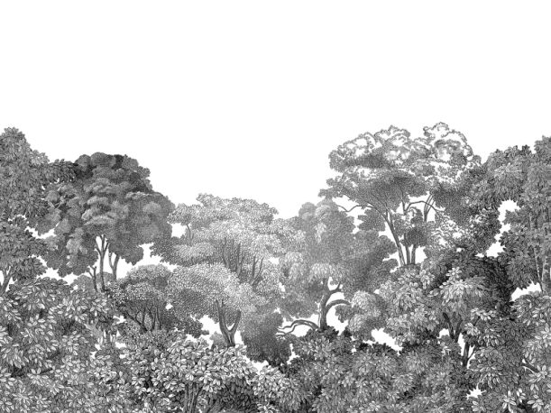 Fototapeet Bellewood R13053