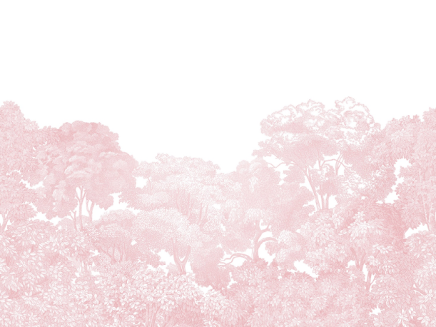 Fototapeet Bellewood R13057