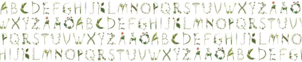 Fototapeet Floral Alphabet R13195