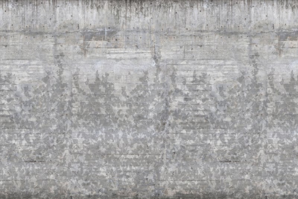 Fototapeet Climbing Clorofyl R13994