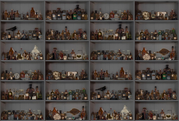 Fototapeet Cabinet of Curios R14184