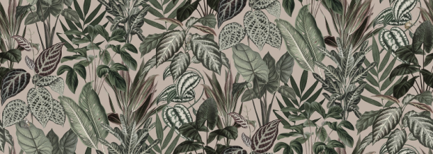 Fototapeet Mischievous Monkeys R14593