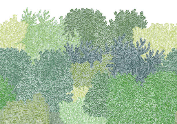 Fototapeet Hideaway R16021