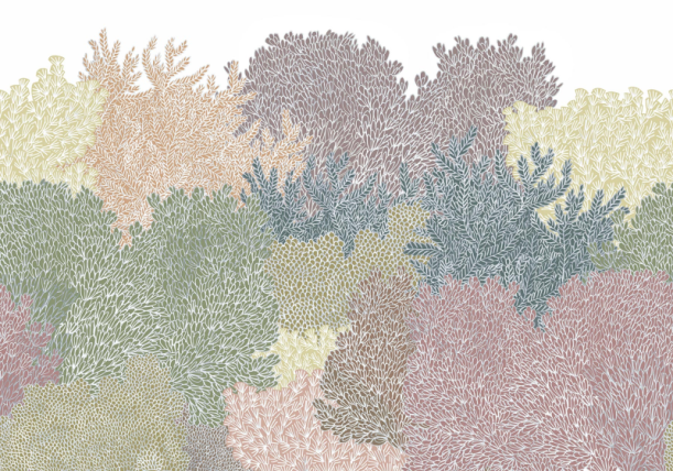 Fototapeet Hideaway R16022