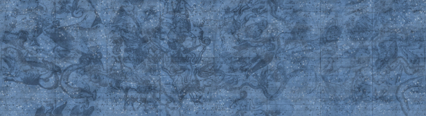 Fototapeet Star Map R16921