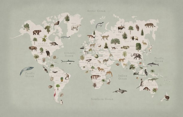 Fototapeet Animal World R18441