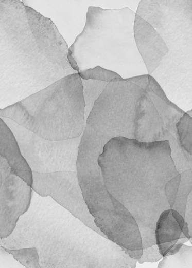 Fototapeet Petals R18589