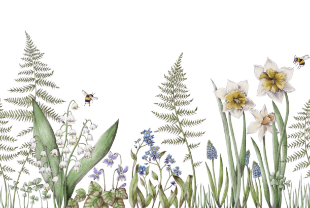 Fototapeet Bumblebee R18640