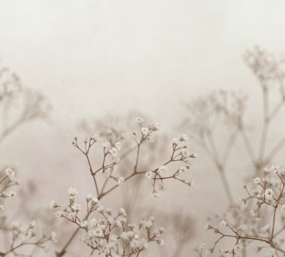 Fototapeet Julia S10130