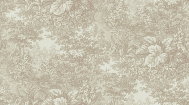 Fototapeet Forest Toile S10404