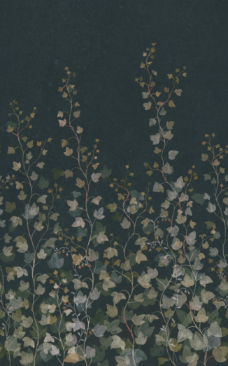 Fototapeet Ivy S10486