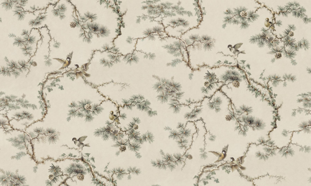 Fototapeet Noah S10655