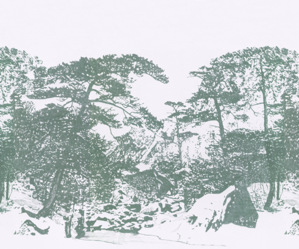 Digi tapeet Ginkesai Riviera SAUD-211315