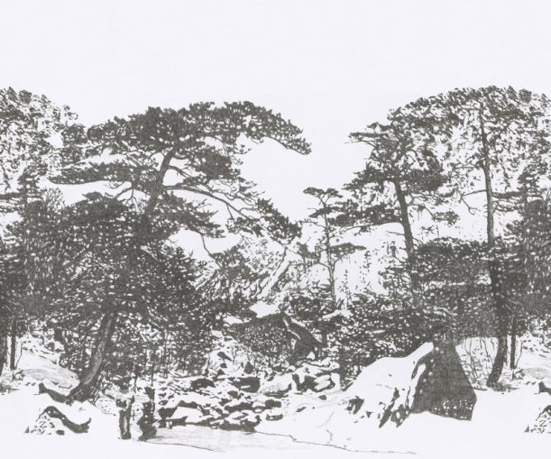 Digi tapeet Ginkesai Pirate SAUD-211317