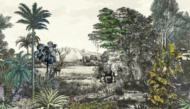 Fototapeet Safari Pampas